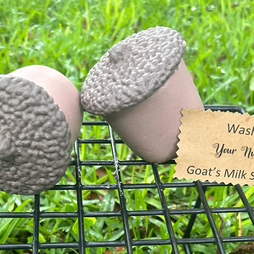 2 Nuts Caribbean Paradise Goat’s Milk Soap - Picture 1 of 4